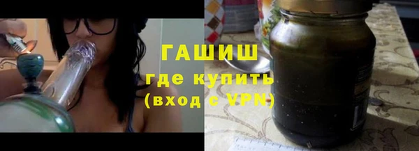 прущие грибы Кирсанов
