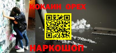 СК Дубна