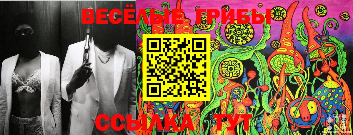 Псилоцибиновые грибы Cubensis Северобайкальск