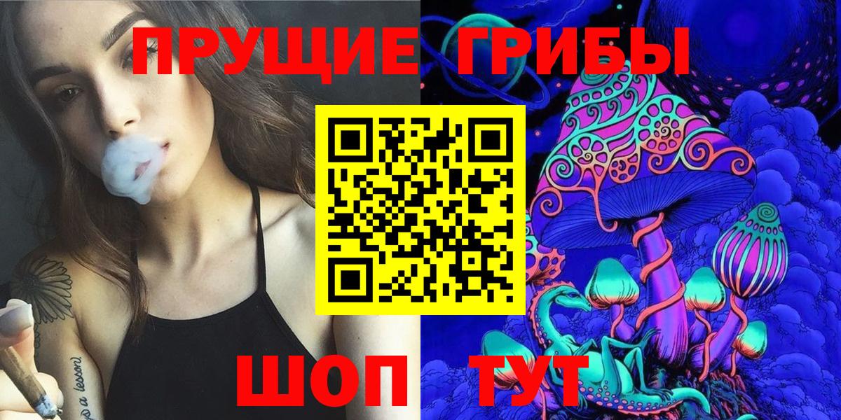 Псилоцибиновые грибы Magic Shrooms  Галлюциногенные грибы Magic Shrooms  купить наркотик  Северобайкальск  Вход с VPN 